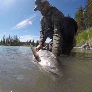 Meet your Posher, David